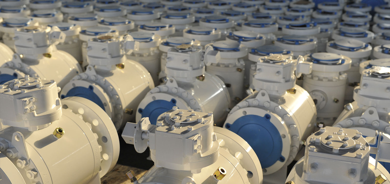 �������app�ٷ���վ